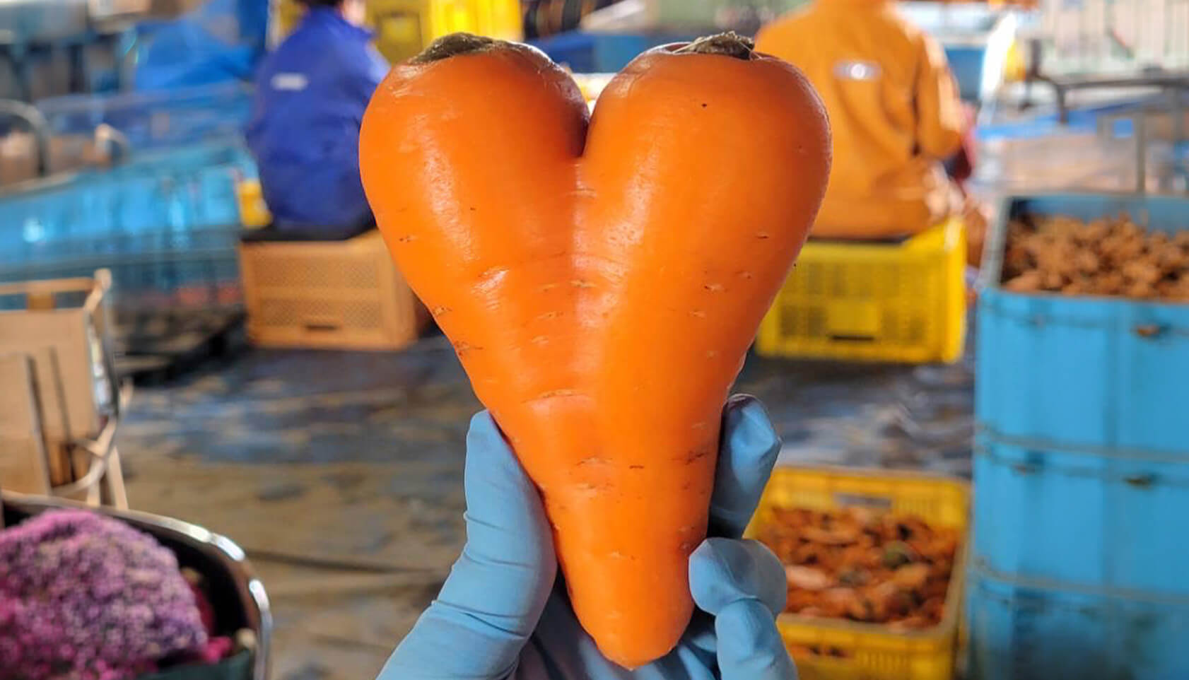 メインイメージ ハートのにんじん