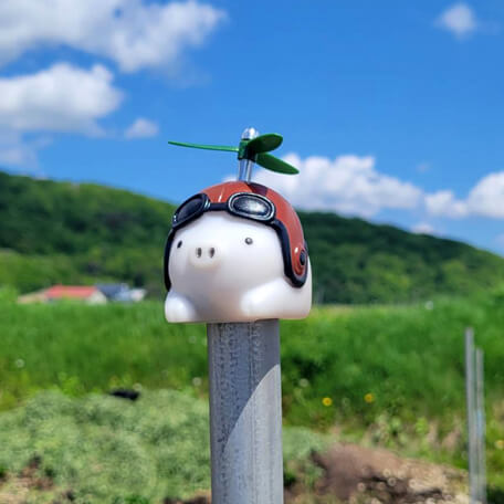 こだわり画像27