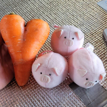 こだわり画像28