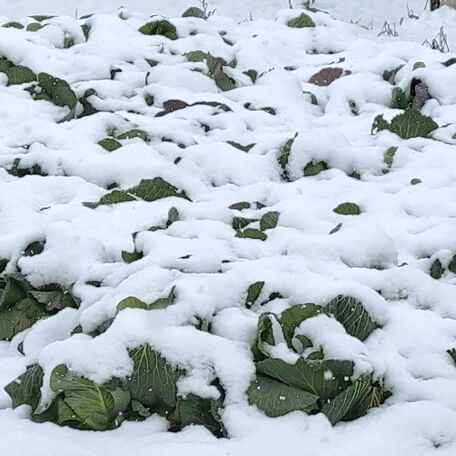 こだわり画像29