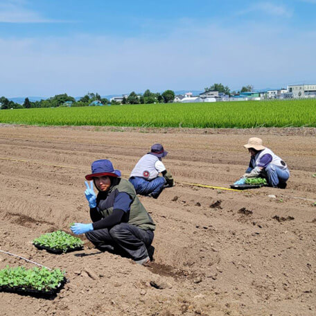 こだわり画像31