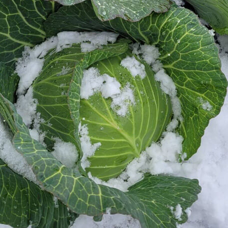 こだわり画像32