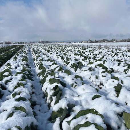 こだわり画像34