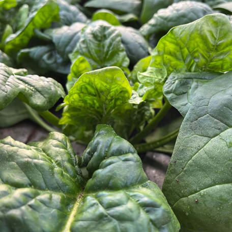 こだわり画像35